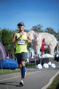 BIB: 
                            <button type="button" onclick="openModal(26542123)" class="btn btn-primary btn-sm float-right btn-popup" data-toggle="modal" data-target=".modal-high-quality">
                        <i class="fas fa-shopping-cart"></i> Add to Cart
                    </button>
                                            <button type="button" onclick="isThisMe(26542123, true)" class="btn btn-success btn-sm float-right btn-popup btn-isme hidden" data-toggle="tooltip" data-placement="bottom" title="นี่คือรูปของคุณใช่ไหม คลิกที่นี่เพื่อเอาเข้าอัลบั้ม">
                        <i class="fas fa-plus"></i> Add to album
                    </button>
                    <button type="button" onclick="isThisMe(26542123, false)" class="btn btn-warning btn-sm float-right btn-popup btn-isnotme hidden">
                        <i class="fas fa-ban"></i> Remove from album
                    </button>